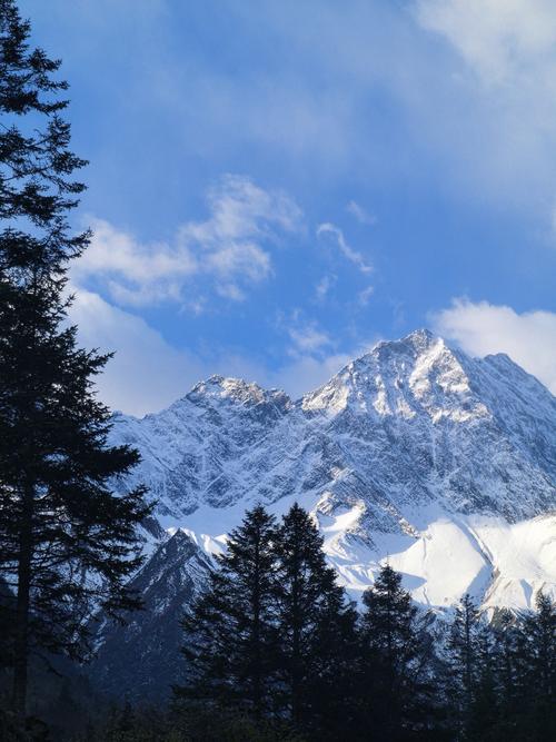 🔥 超值推荐：BAE云服务器，性能与价格的双重惊喜！