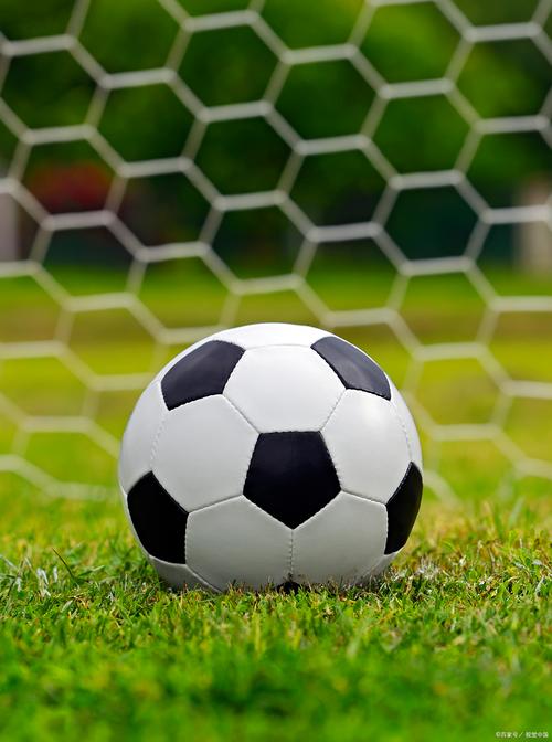 《零门槛上云！揭秘云免服务器租用：省钱省心，创业者的第一桶“云”》